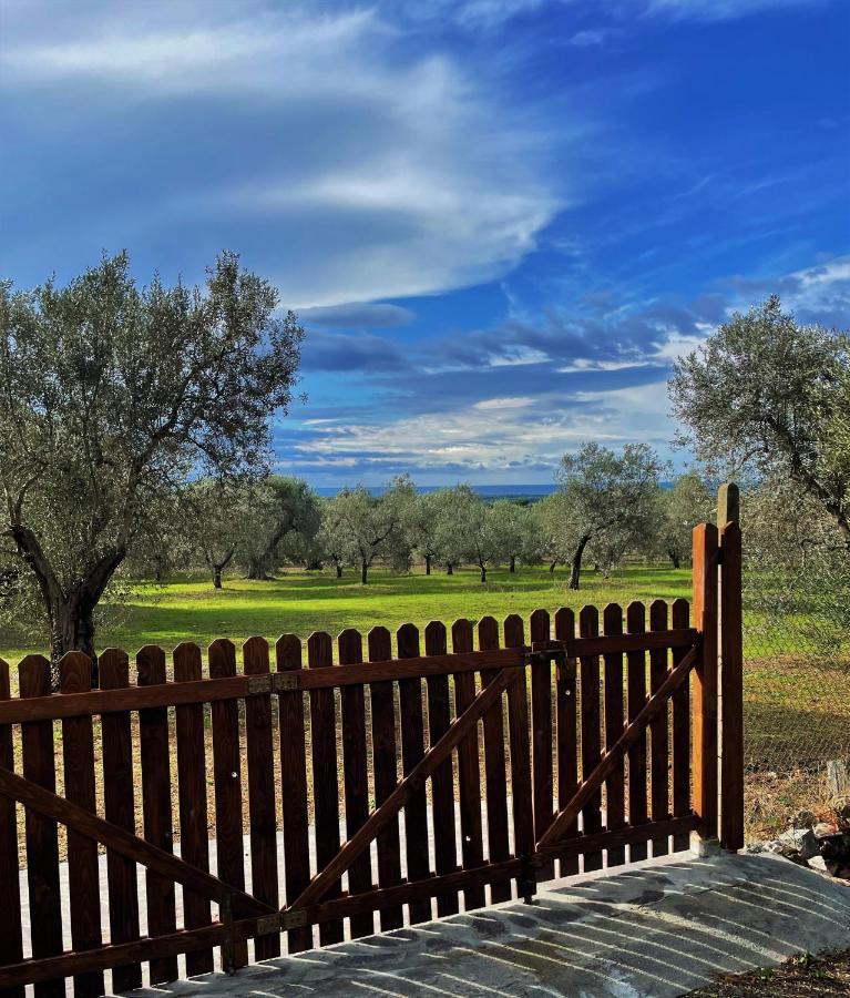 Agriturismo Podere Campalto Campiglia Marittima Luaran gambar