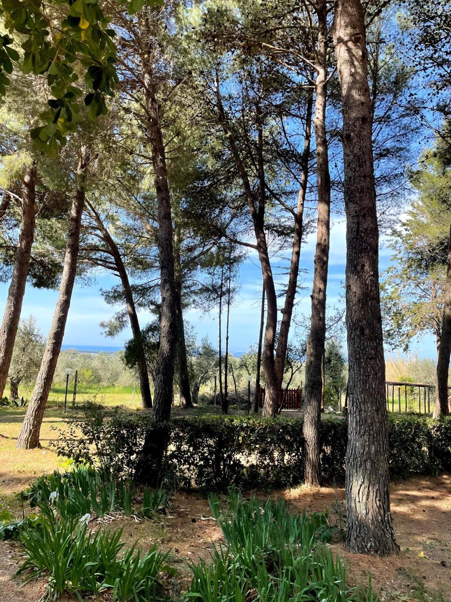 Agriturismo Podere Campalto Campiglia Marittima Luaran gambar