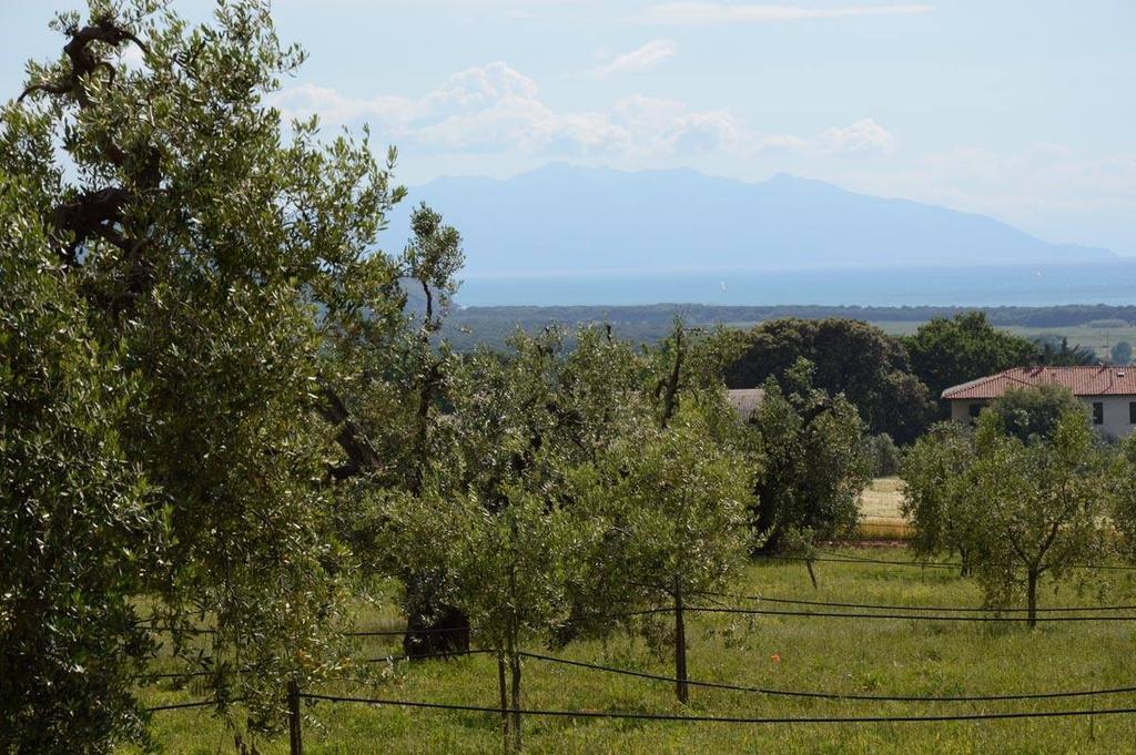 Agriturismo Podere Campalto Campiglia Marittima Luaran gambar