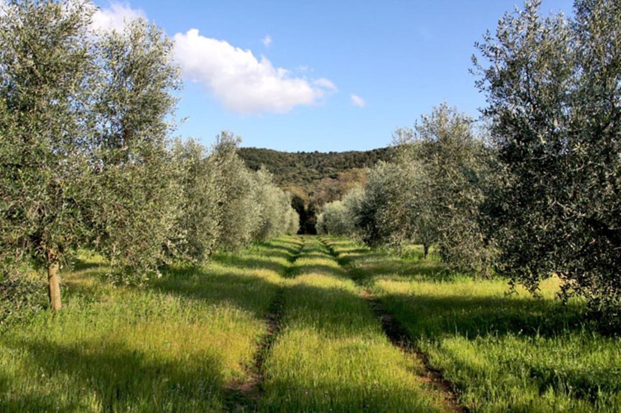 Agriturismo Podere Campalto Campiglia Marittima Bilik gambar