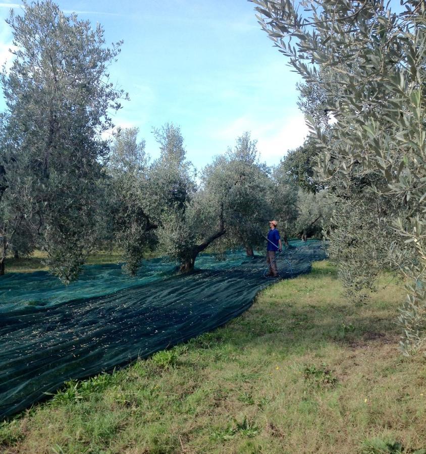 Agriturismo Podere Campalto Campiglia Marittima Luaran gambar