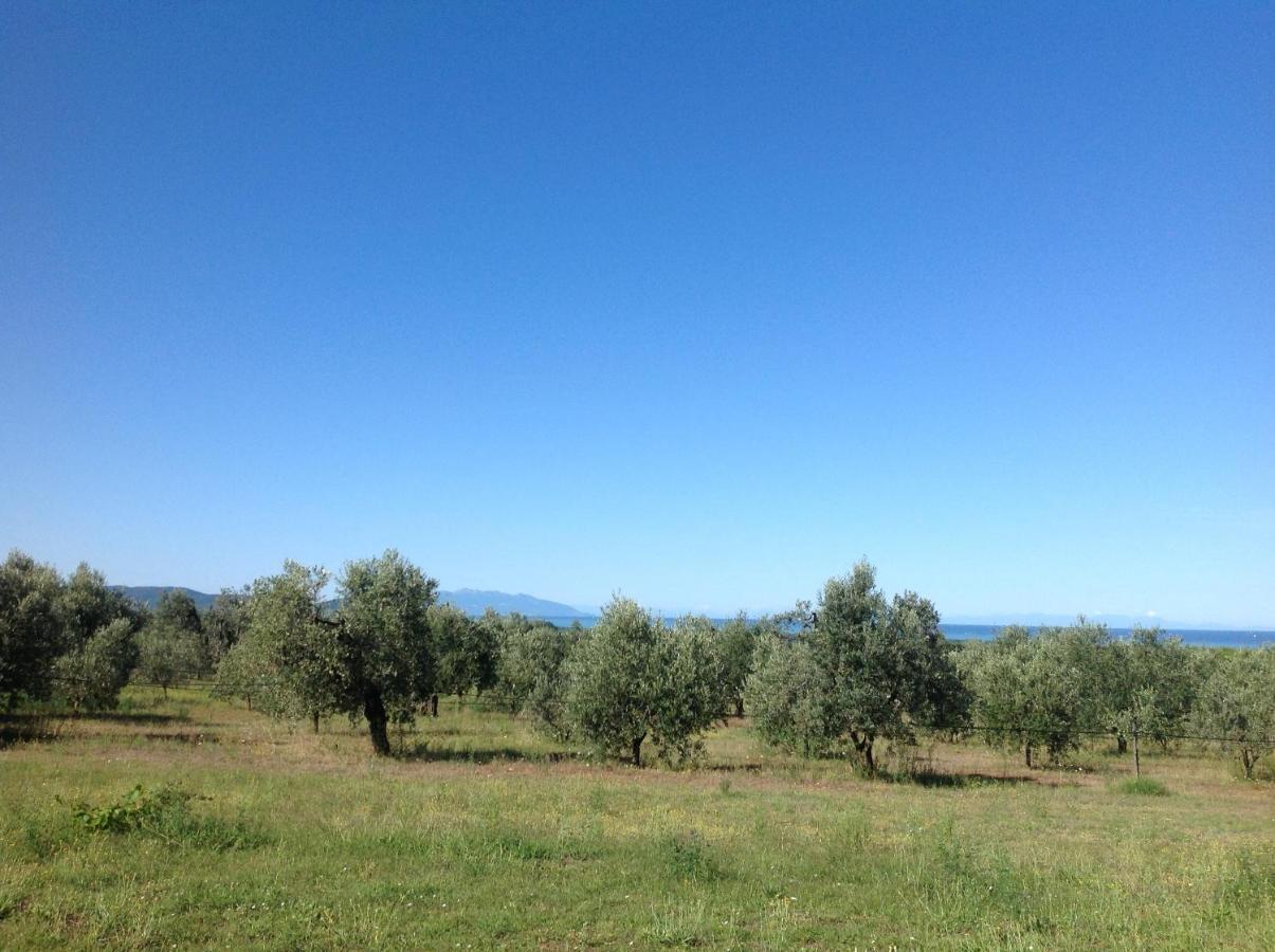 Agriturismo Podere Campalto Campiglia Marittima Luaran gambar