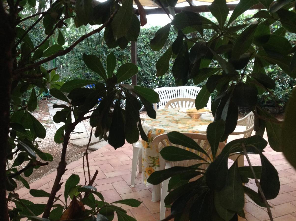 Agriturismo Podere Campalto Campiglia Marittima Luaran gambar